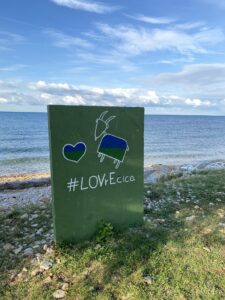 68569433795__03100cd7-1984-431d-bdcc-ffe10abd5df6